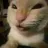 muheh_cat custom emote from Privacy! Cons