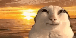 catsmile animated emote - The Final Third