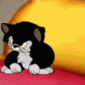 z_Tura animated Discord emote | Lemniscate Network