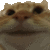 a_catyes animated Discord emote | ⋆˙⟡ 𝙁 𝙀 𝙍 𝘼 𝙇