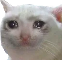 emoji_61 Discord Emoji from •°♡🦇ɴᴏᴠᴀꜱ ɴɪɢʜᴛᴍᴀʀᴇ🦇♡°•