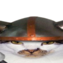 287990catviking2 Discord sticker from 𝐃𝐫𝐨𝐧𝐞𝐱 𝐍𝐞𝐭𝐰𝐨𝐫𝐤 ©