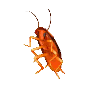 __ animated Discord emote - ・ 𝐌𝐨𝐨𝐧𝐋𝐢𝐠𝐡𝐭 𝐂𝐡𝐚𝐭 ☄