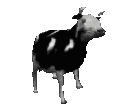Dancing_cow_animated animated Discord emote | 𝑻𝑨𝑮 𝑪𝑹𝑨𝑭𝑻 🔮