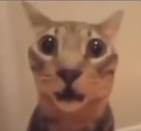 scared_fella custom emote from [26.2+] Inferno Events
