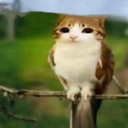 catbutbird custom emote | 𝘙𝘌𝘈𝘓𝘐𝘛𝘠 𝘈𝘞𝘈𝘐𝘛𝘚... but after 24.7