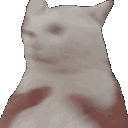 danis_gorum animated emote - CHİLLBAYCAN