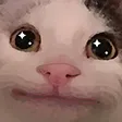 plainStare Discord Emoji from Lucid Love ☾  Relationship ⭑ Social ⭑ Gaming ☽