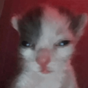 Brother Discord Emoji from Besties Community