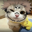 Catkuna custom emote | Lunar Syndicate