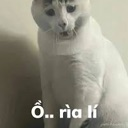 emoji_19 Discord Emoji - ᏕᎻᏒᎬᏦ ᎷᎯᎠ ᎷᎯᎠ