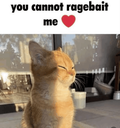 Ragebait custom emote from BDRP I Border Roleplay
