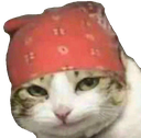 Cat wearing a red bandana with a smug, knowing expression.