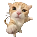 HUHCAT custom emote - ˗ˏˋ ★-Peace Island-★ ˎˊ˗ {hangout/Vc/chatting/community}