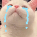 SadCat Discord sticker - Lucid Love ☾  Relationship ⭑ Social ⭑ Gaming ☽