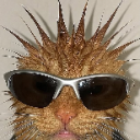 A wet orange cat with fur styled into sharp spikes wearing silver-framed sunglasses.