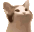 pop_yap animated GIF emoji | /r/christians