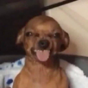 Biteme Discord Emoji from ✧･ﾟ: ✧･ﾟ: 𝙎𝙩𝙧𝙖𝙮𝙨 :･ﾟ✧:･ﾟ✧