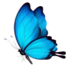 Butterfly_blue Discord Emoji from 𝒂𝒖𝒓𝒂
