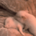 pig animated GIF emoji from 冲浪TV