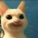 emoji_95 custom emote - # ~ 𝐄𝐦𝐩𝐢𝐫𝐞 𝐖𝐞𝐬𝐭 𝟏𝟖𝟕