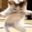 Social_naachbkl animated GIF emoji from ୨ Caféx ୧／Social  ﹒ International ﹒Nitro﹒pfps﹒Fun (Masti)