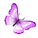 ButterflyMajenta animated emote from 𓆩❈𓆪 Sylvara Café 𓆩❈𓆪