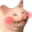kitty_blush3 Discord Emoji from LCRP 3.0 | Up-N-Atom