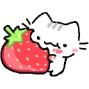 emoji_263 Discord sticker | Roblox LatinoAmerica⭐