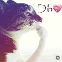 dihcat custom emote | Jushoka