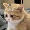 emoji_13 Discord sticker from ᏕᎻᏒᎬᏦ ᎷᎯᎠ ᎷᎯᎠ