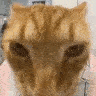cardrip animated GIF emoji | 🎧ྀི♪⋆.✮ ᴀꜰᴛᴇʀ ʜᴏᴜʀꜱ °❀.ೃ࿔
