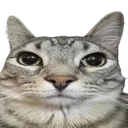 seriously Discord sticker - ATGs (All The Gamers)