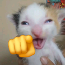 catcuoivl custom emote | 𝘙𝘌𝘈𝘓𝘐𝘛𝘠 𝘈𝘞𝘈𝘐𝘛𝘚... but after 24.7
