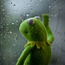r_kermit_rain Discord Emoji - ⋆˙⟡ 𝙁 𝙀 𝙍 𝘼 𝙇