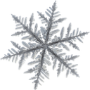 2102snowflake Discord Emoji - 𝒂𝒖𝒓𝒂