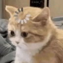 emoji_111 Discord Emoji | Arvelynx ™ | Social SFW