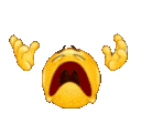 nooooo animated Discord emote from The Void Society