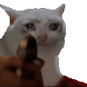 nal_CatGun animated GIF emoji - Hearts of Steel (Geopoltical Minecraft Server)