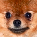 0_TeddyStare Discord Emoji - DM Request 📪 ⌇ Ask To DM & Chatting ⌇ Non Dating ⌇ Social ⌇ Friendly ⌇ Nitro ⌇Non Toxic