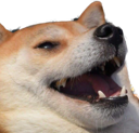 doggolaugh custom emote - ATGs (All The Gamers)