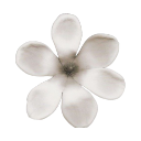 006_flower1 Discord Emoji | truly ᯓ✩ friends ㆍ giveaways ㆍ tags ㆍ chill ㆍ vc ㆍ hangout ㆍ social ㆍ cute ㆍ emotes ㆍ active ㆍ chat