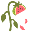 wilted_rose_watermelon Discord Emoji from JkLunars Campfire
