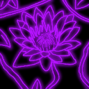 A glowing purple neon lotus flower centered against a solid black background.