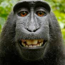 Monky Discord Emoji - Arabic Ronaldo Partygoer Lockdown