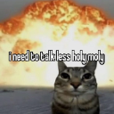 A tabby cat looks calmly at the camera while a large explosion occurs in the background.