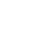 Globe icon with a grid of latitude and longitude lines.