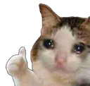 sadcat_thumbsUp Discord sticker from /r/christians