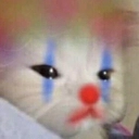 SR_catclitty Discord Emoji from Shadowrift