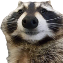 raccsmile Discord sticker from /r/christians